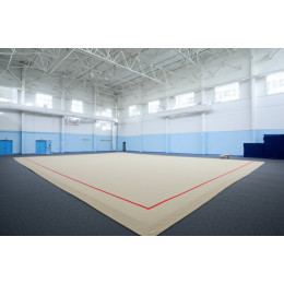 Гимнастический ковер 14х14м