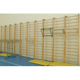 Стенка 3,0x0,8м с выносом (гимнастическая, шведская)